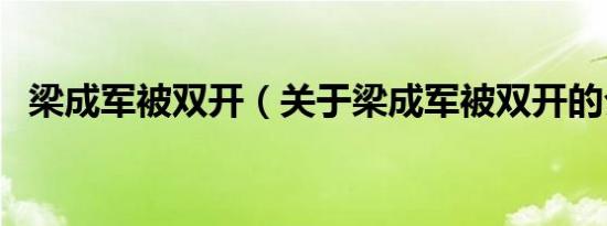 梁成军被双开（关于梁成军被双开的介绍）