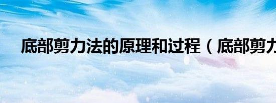 底部剪力法的原理和过程（底部剪力法）