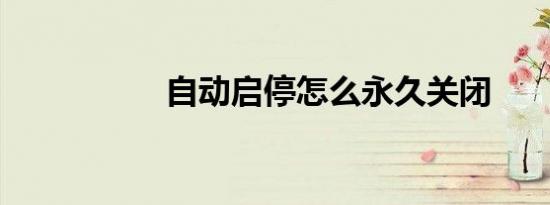 自动启停怎么永久关闭