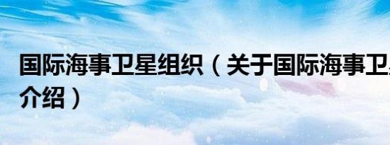 国际海事卫星组织（关于国际海事卫星组织的介绍）