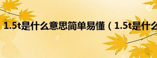 1.5t是什么意思简单易懂（1.5t是什么含义）