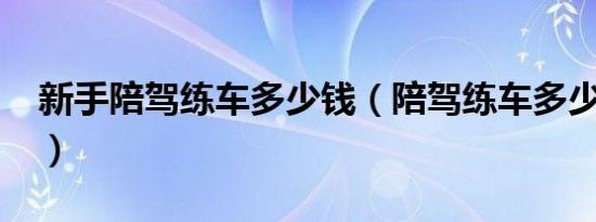 新手陪驾练车多少钱（陪驾练车多少钱一天?）