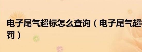 电子尾气超标怎么查询（电子尾气超标怎么处罚）