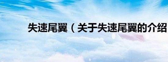 失速尾翼（关于失速尾翼的介绍）