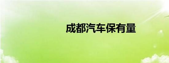 成都汽车保有量