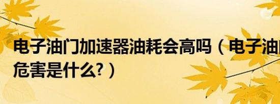 电子油门加速器油耗会高吗（电子油门加速器危害是什么?）