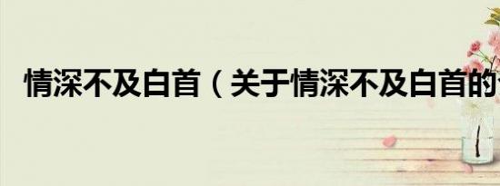 情深不及白首（关于情深不及白首的介绍）