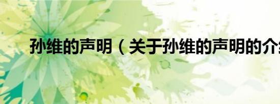 孙维的声明（关于孙维的声明的介绍）