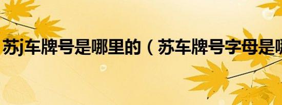 苏j车牌号是哪里的（苏车牌号字母是哪里的）