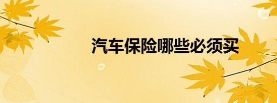 汽车保险哪些必须买