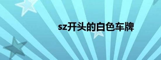 sz开头的白色车牌