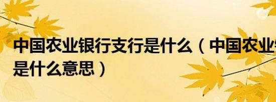 中国农业银行支行是什么（中国农业银行支行是什么意思）