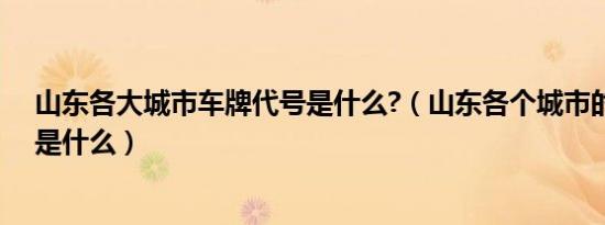 山东各大城市车牌代号是什么?（山东各个城市的车牌代码是什么）