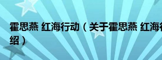 霍思燕 红海行动（关于霍思燕 红海行动的介绍）