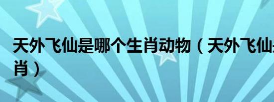 天外飞仙是哪个生肖动物（天外飞仙是哪个生肖）