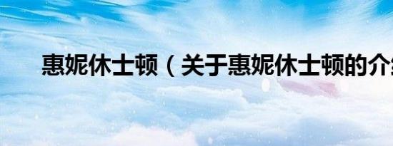 惠妮休士顿（关于惠妮休士顿的介绍）
