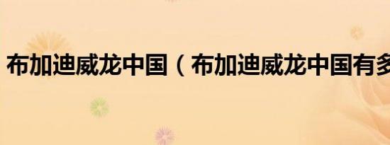 布加迪威龙中国（布加迪威龙中国有多少辆）