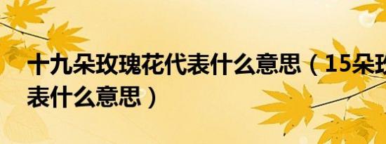 十九朵玫瑰花代表什么意思（15朵玫瑰花代表什么意思）