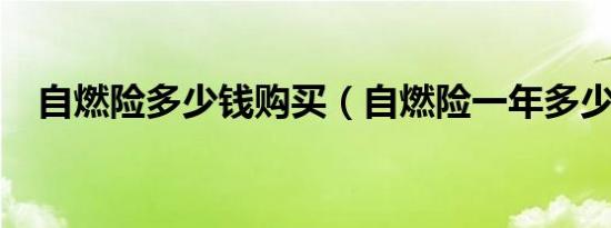 自燃险多少钱购买（自燃险一年多少钱?）