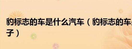 豹标志的车是什么汽车（豹标志的车是什么牌子）