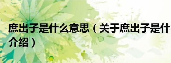 庶出子是什么意思（关于庶出子是什么意思的介绍）