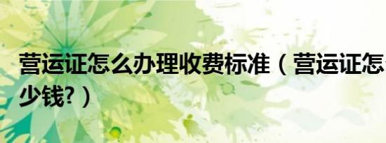 营运证怎么办理收费标准（营运证怎么办理多少钱?）