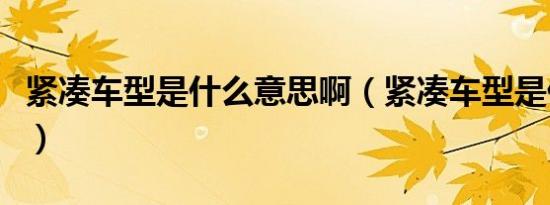 紧凑车型是什么意思啊（紧凑车型是什么意思）