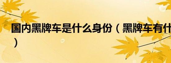 国内黑牌车是什么身份（黑牌车有什么特权?）