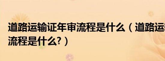 道路运输证年审流程是什么（道路运输证年审流程是什么?）