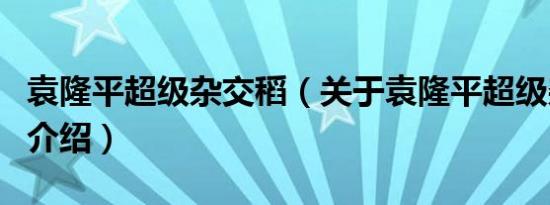 袁隆平超级杂交稻（关于袁隆平超级杂交稻的介绍）