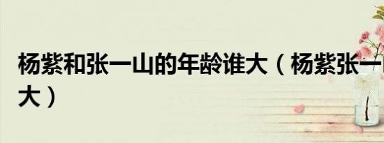 杨紫和张一山的年龄谁大（杨紫张一山谁年龄大）
