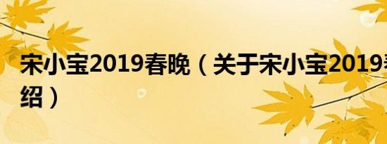 宋小宝2019春晚（关于宋小宝2019春晚的介绍）