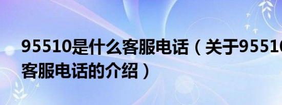 95510是什么客服电话（关于95510是什么客服电话的介绍）