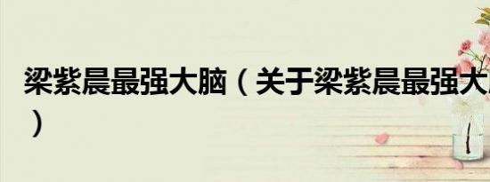 梁紫晨最强大脑（关于梁紫晨最强大脑的介绍）