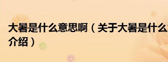 大暑是什么意思啊（关于大暑是什么意思啊的介绍）