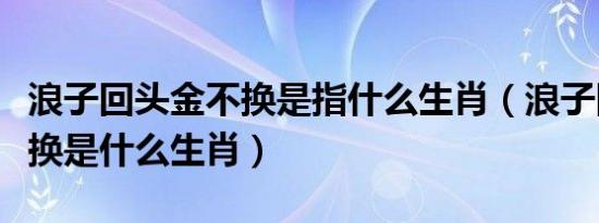 浪子回头金不换是指什么生肖（浪子回头金不换是什么生肖）
