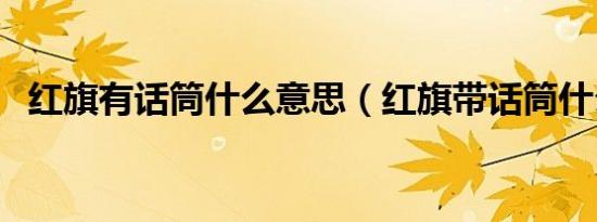 红旗有话筒什么意思（红旗带话筒什么梗）