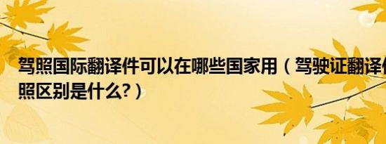 驾照国际翻译件可以在哪些国家用（驾驶证翻译件和国际驾照区别是什么?）