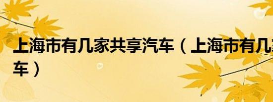 上海市有几家共享汽车（上海市有几家共享汽车）