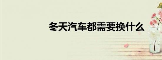 冬天汽车都需要换什么