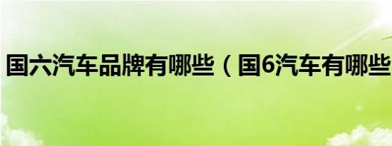 国六汽车品牌有哪些（国6汽车有哪些品牌?）
