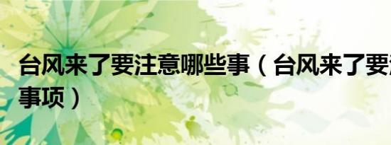 台风来了要注意哪些事（台风来了要注意什么事项）