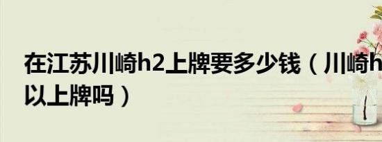 在江苏川崎h2上牌要多少钱（川崎h2中国可以上牌吗）