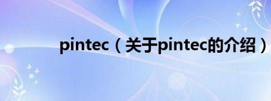 pintec（关于pintec的介绍）