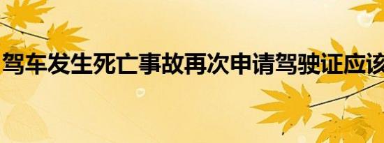驾车发生死亡事故再次申请驾驶证应该怎样做