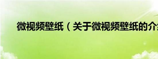 微视频壁纸（关于微视频壁纸的介绍）