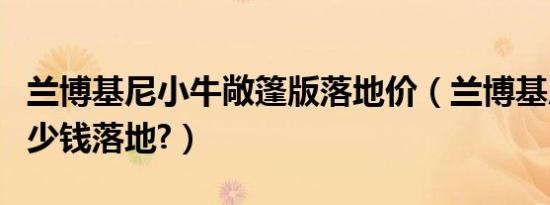 兰博基尼小牛敞篷版落地价（兰博基尼小牛多少钱落地?）