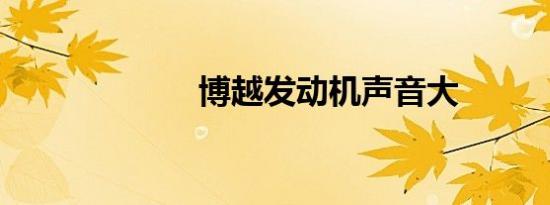 博越发动机声音大