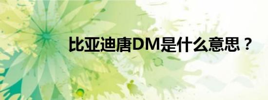 比亚迪唐DM是什么意思？