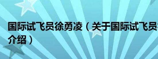 国际试飞员徐勇凌（关于国际试飞员徐勇凌的介绍）